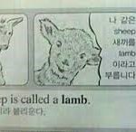 웃음<b>지뢰</b>짤 올리고 가