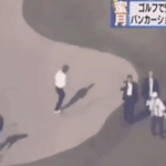 응 <b>pdf</b> 다 땄어?