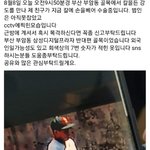 [19] 현재 부산에 칼든<b>범인</b>이 돌아다니고있으니 조심해!!!!