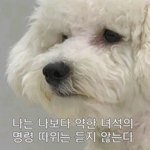 [EXO] 비비짤 ㄹㅇ 만능