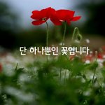정말후회되는게 뭐야