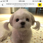 [드루와] <b>폭식</b>후 대처법