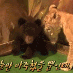 얘들아...이번 겨울도 롱패딩 입자...