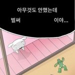 이 조합 별로야??
