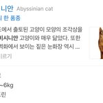 [드루와] 고양이 셋째 분양받은 강다니엘