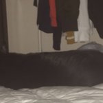 [ㅋㅋㅋㅋㅋ] <b>거양</b>이 똥같이 누워있어 ㅋㅋㅋ