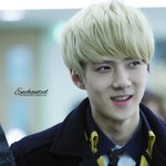 [EXO] 세훈 <b>졸업</b>