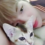 [강다니엘] 강다니엘 냥먹짤2 올라왔어ㅜㅠㅠㅠㅠ