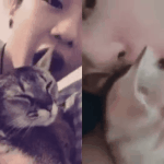 [강다니엘] <b>욤</b>뇸뇸 냥먹짤