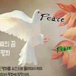 [꼭봐주세요] 인간의 존엄과 가치와 행복추구를 위해