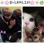[강다니엘] 사랑스럽다ㅠㅠ
