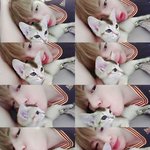 [강다니엘] 오늘 하루<b>종일</b> 행복할듯 ㅋ.ㅋ