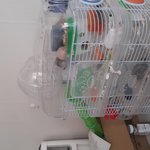 두마리 낳은게 다 더는 없다~~~