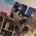[강다니엘] 냥불출 강다니엘 방금 영상 또올려줌ㅋㅋㅋㅋ