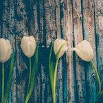 [생일파티] <b>항해자</b> 은혜 찬양 가사 - 이인강/아멘충성