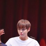 박지훈 <b>갈색</b> 그냥<b>갈색</b>임??