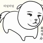 [이삐] 근데 이번에 진짜