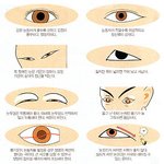 남자 눈 어떤 취향이세요 ??