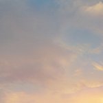 지금 <b>LA</b> 호텔인데 재난 문자 뜸