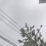 [드루와] 얘들아 추반좀 제발  ㅠㅠㅠ!!