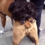 내팬티는<b>T</b><b>팬</b>타
