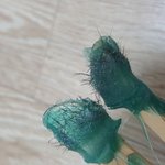 [이것좀봐줘] 내가 친구집에서 콧구멍왁<b>싱</b>했는데!!대박이야