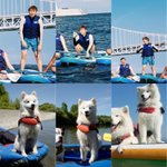 [강다니엘] 패들보드 타는 멈무