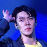 [EXO] 위영 세업찬 <b>짜릿</b>하다