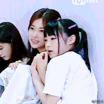 프듀 48 일연생들 팩트