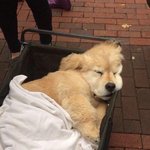 [ㅈㄱㄴ] 댓글써주는게 왜이렇게 행복할까