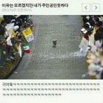 [댓글부탁해] 섀도우 기본템 추천좀 해줘 ㅠㅠ