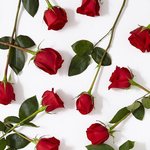 [댓글부탁해] 어제 <b>월급날</b>인데 돈이 안들어옴