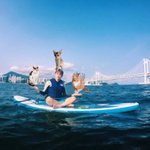 [강다니엘] 귀여운거 주워옴ㅋㅋㅋㅋ