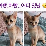 [강다니엘] 강다니엘시리즈 (<b>with</b>오리)