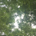 다들 <b>인생</b> <b>드라마</b> ㅊㅊ해 주고 가줘