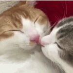 짝<b>녀랑</b> 살고싶다