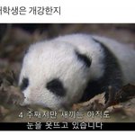 [조언부탁해] 다들 덕질 어느 정도로 함