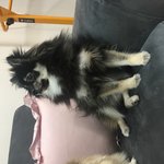 [이것좀봐줘] 우리집 얼굴<b>천재</b> 소개합니다