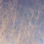 곧 가을이니까 가을겨울 로망 말해보자!