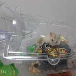 어미와 새끼들 컷~~