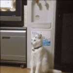 [드루와] 우리 <b>tmi</b> 말하고 가자