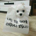 [드루와] 흑흑흑 부탁이야 ㅜㅜ
