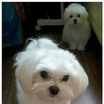 [댓글부탁해] 난 <b>나태</b>지옥 갈거같아