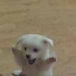[드루와] 말할때 나만 이러냐 ㅋㅋㅋ