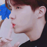 [방탄소년단] 쩨이홉