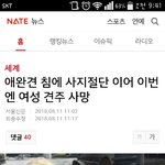 개가 또 사람죽였네요