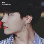 [방탄소년단] 방탄 슈퍼콘 보고서 방탄소년단이랑 제이홉님한테 입덕한...