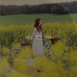 [좋은글귀] 바로 지금 하라