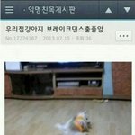 [드루와] 얘들아 겔러리 다운로드<b>파일</b>에서 10번째 사진 올리고가자!...
