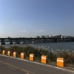 나보다 가슴 처진 사람 없을걸